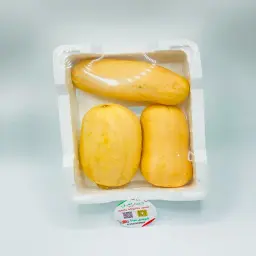 American Squash Cork